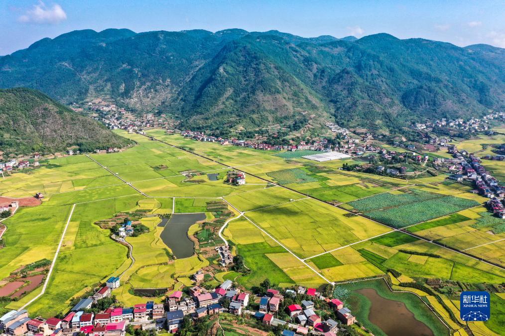新濠天地平台注册